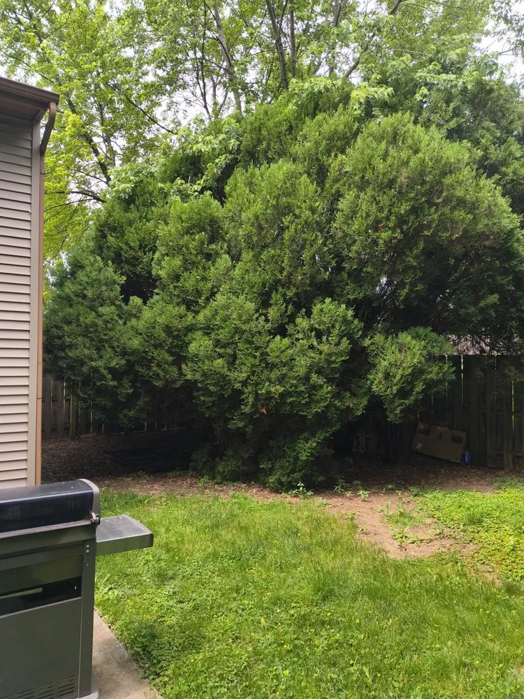 Trusted lawn mowing service for beautiful yards across Fort Wayne, IN - SJH Family Lawn care