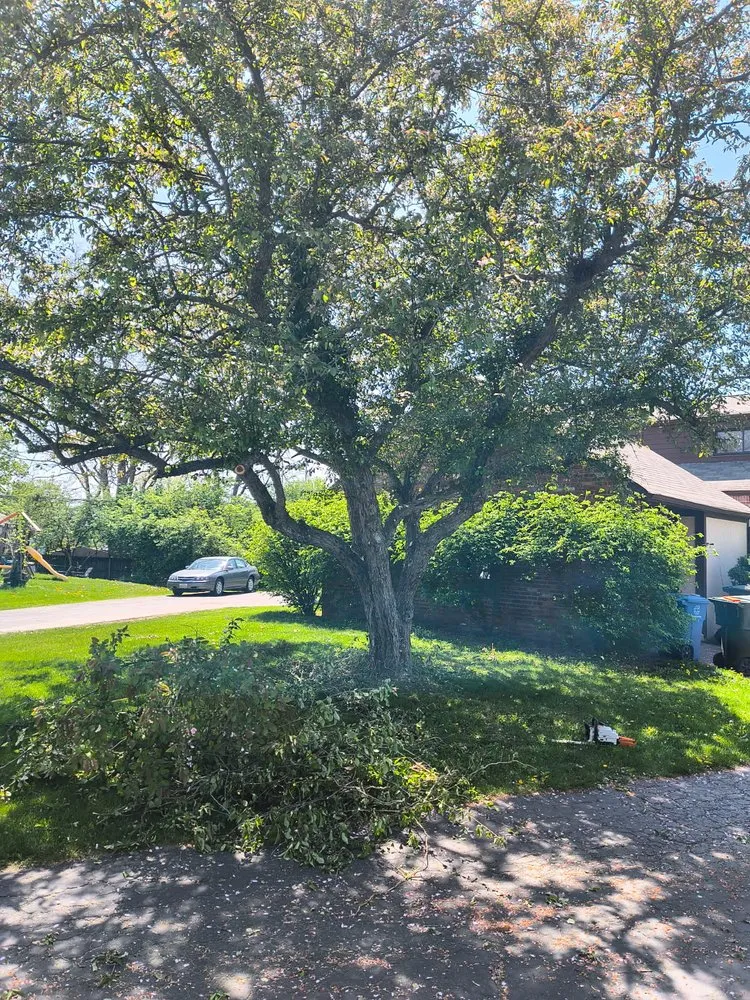 Expert landscaping services in Fort Wayne, IN - SJH Family Lawn care