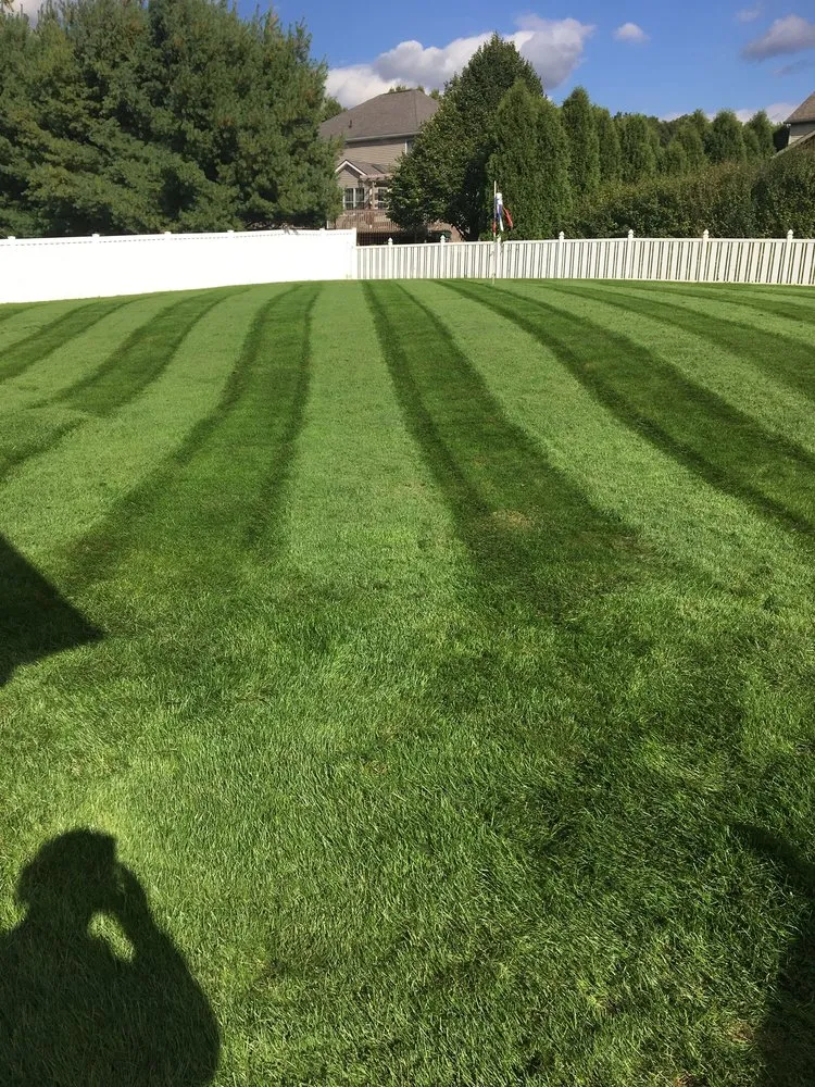 Affordable landscaping services experts serving Massillon, OH - SJL Lawns