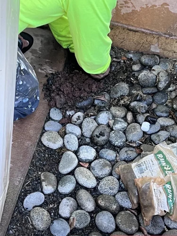 Affordable landscape design for homes in Waipahu, HI by SJM Landscaping