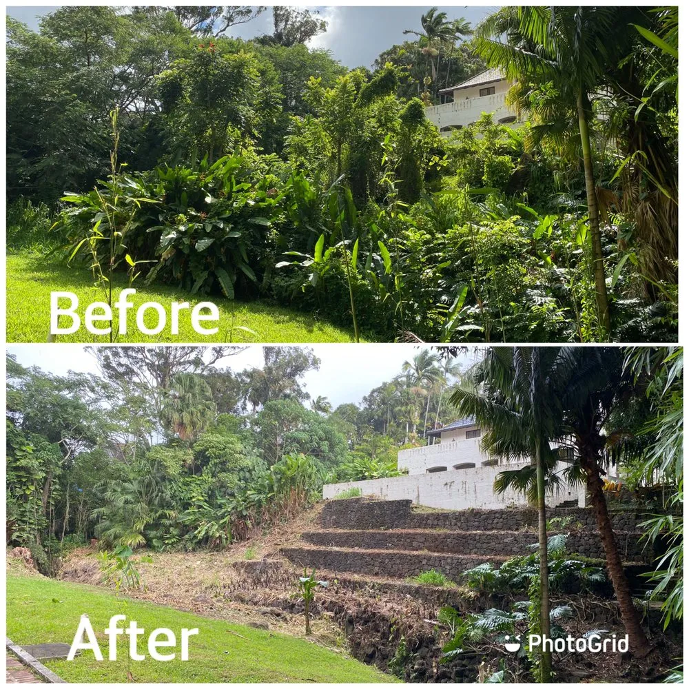 Professional outdoor landscaping in Waipahu, HI by SJM Landscaping