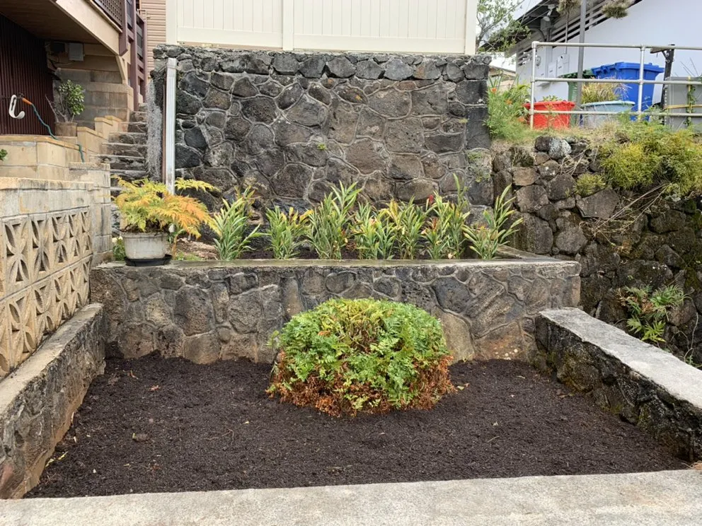 Affordable landscaping services for year-round maintenance in Waipahu, HI by SJM Landscaping