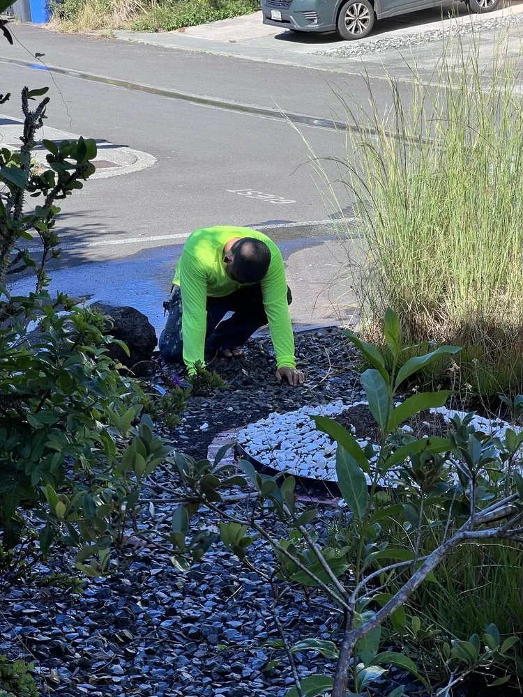 Affordable landscaping services near you in Waipahu, HI by SJM Landscaping