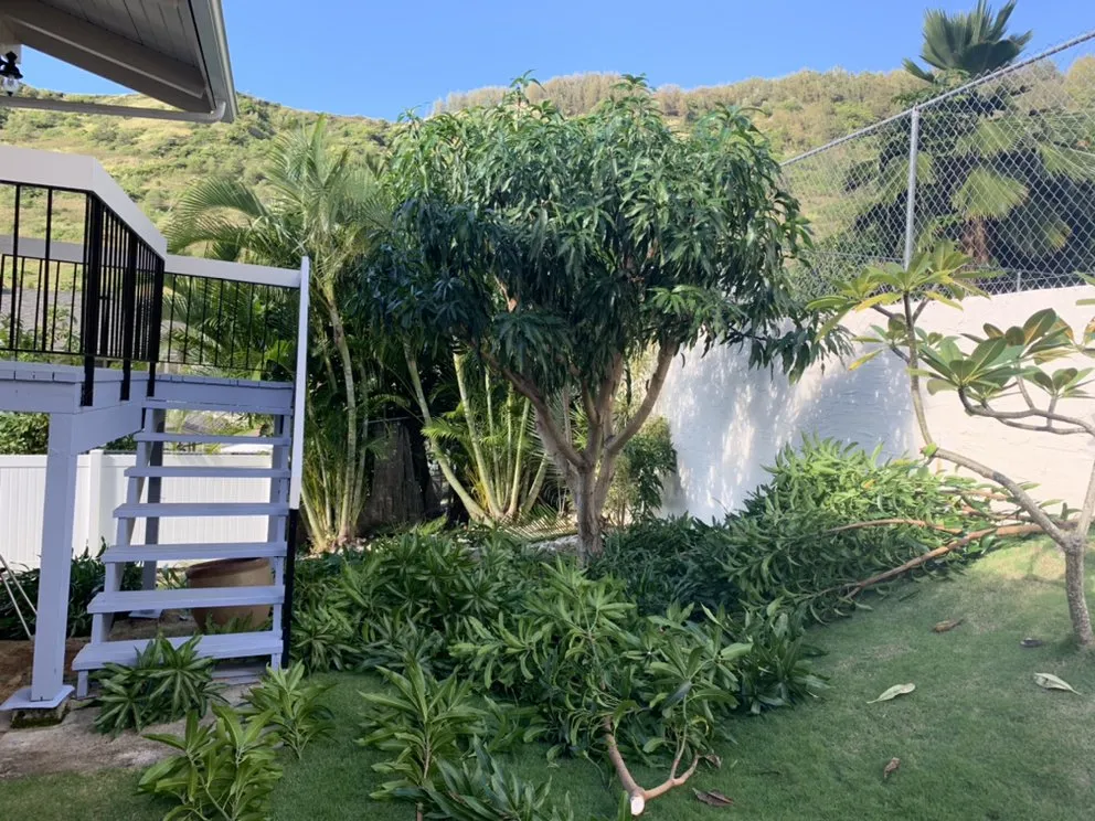 Expert residential landscaping in Waipahu, HI - SJM Landscaping
