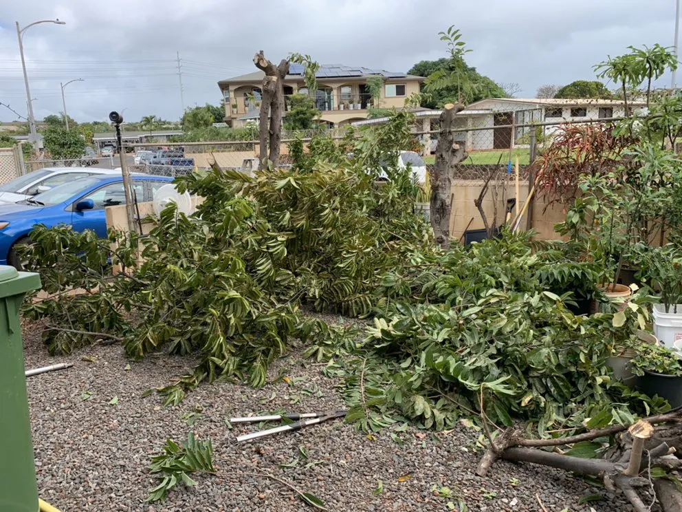 Affordable lawn mowing service in Waipahu, HI - SJM Landscaping