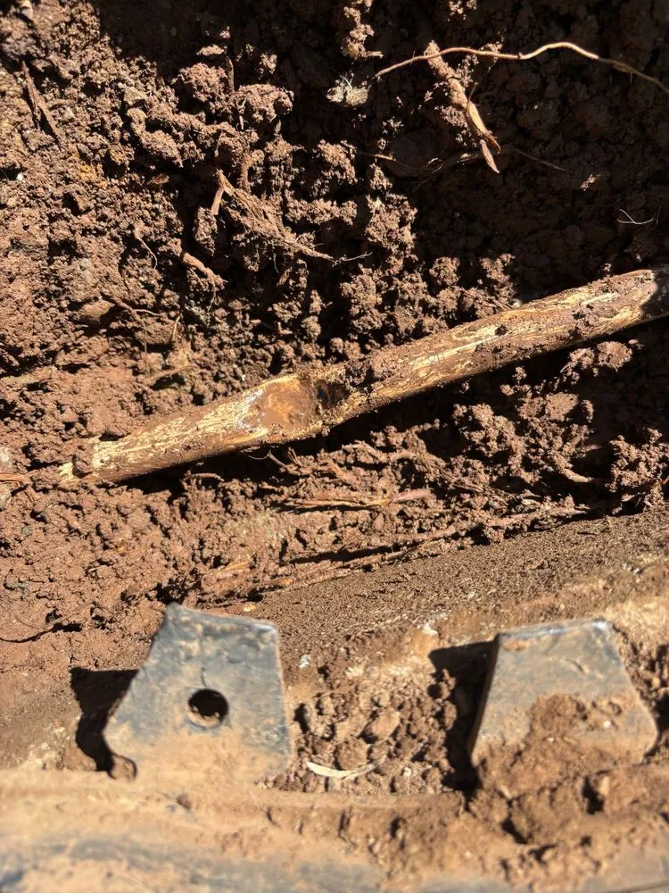 Local garden landscaping with custom design in Waipahu, HI by SJM Landscaping