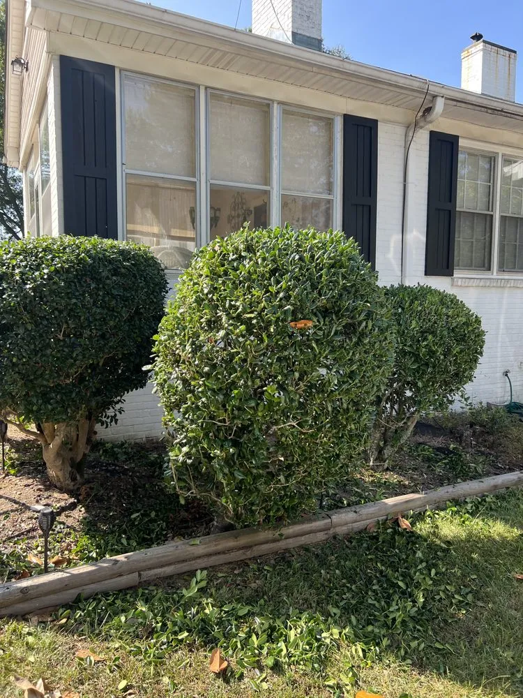 Reliable landscape installation in La Fayette, AL - SJM Services