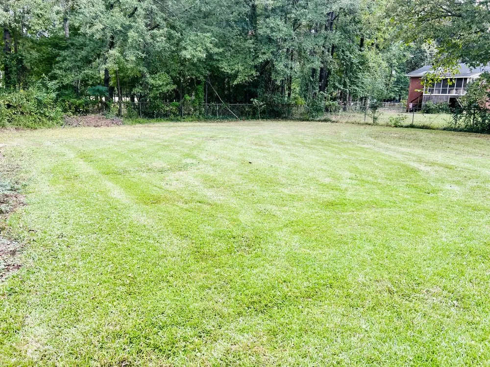 Top-rated lawn mowing service for outdoor upgrades in La Fayette, AL by SJM Services