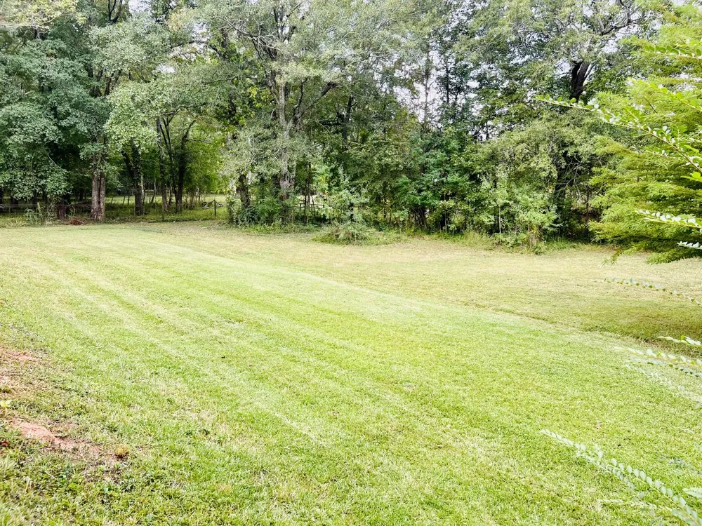 Reliable yard cleanup service experts serving La Fayette, AL - SJM Services