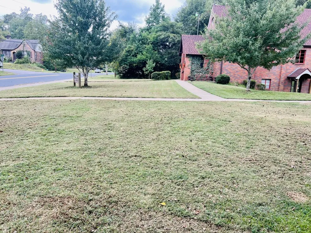 Top-rated landscaping services with custom design across La Fayette, AL - SJM Services