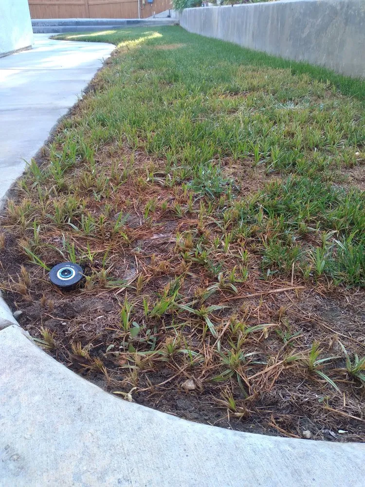 Professional garden landscaping experts serving Corona, CA - Sjn Gardening And Landscaping