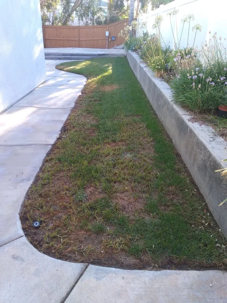 Local lawn mowing service in Corona, CA by Sjn Gardening And Landscaping