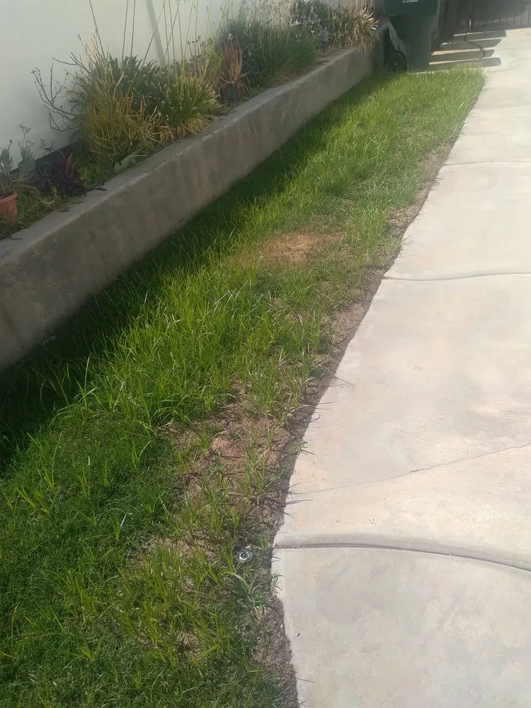 Reliable yard cleanup service in Corona, CA by Sjn Gardening And Landscaping