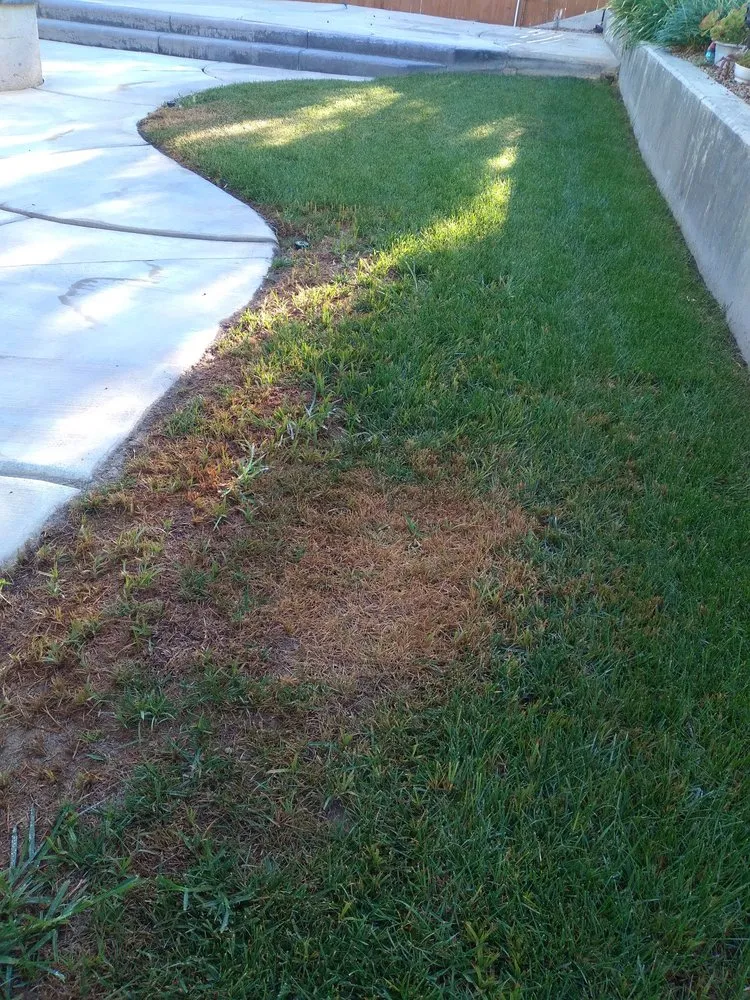 Expert yard maintenance in Corona, CA by Sjn Gardening And Landscaping