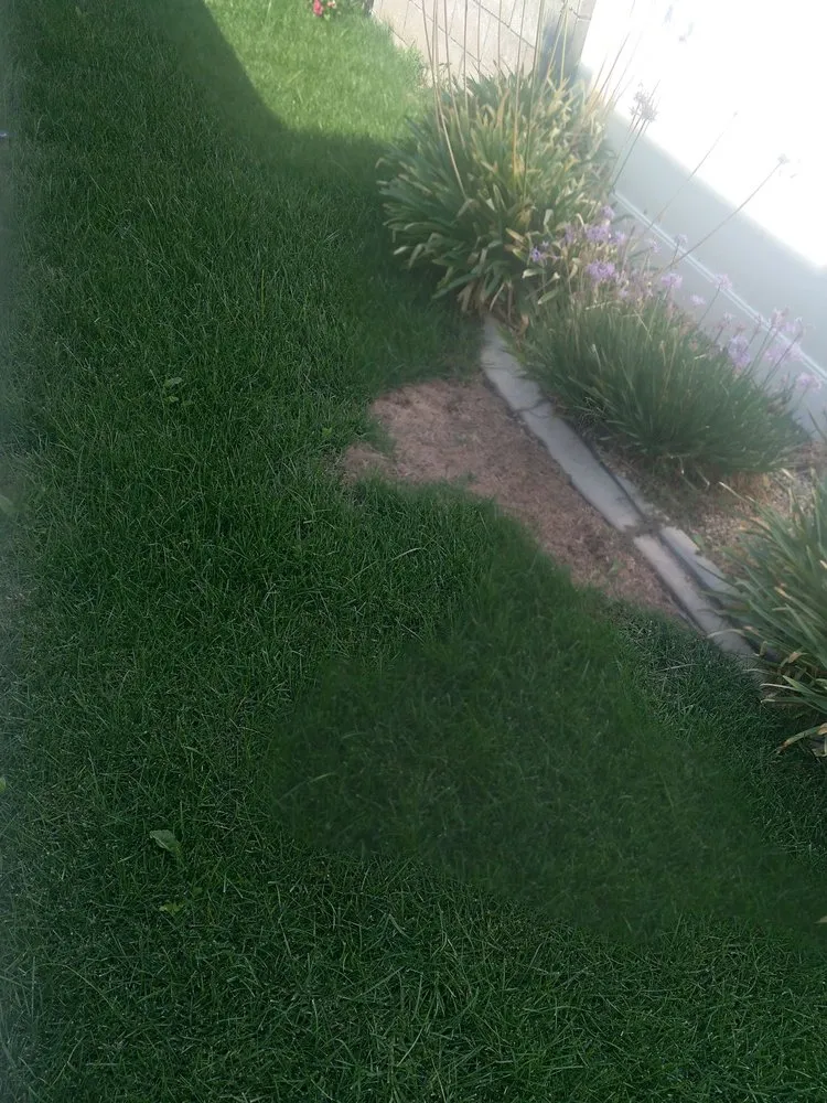 Custom outdoor landscaping experts serving Corona, CA - Sjn Gardening And Landscaping