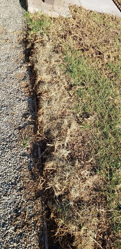 Reliable residential landscaping in Corona, CA - Sjn Gardening And Landscaping