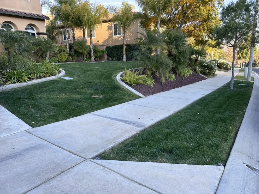 Local yard maintenance experts serving Corona, CA - Sjn Gardening And Landscaping