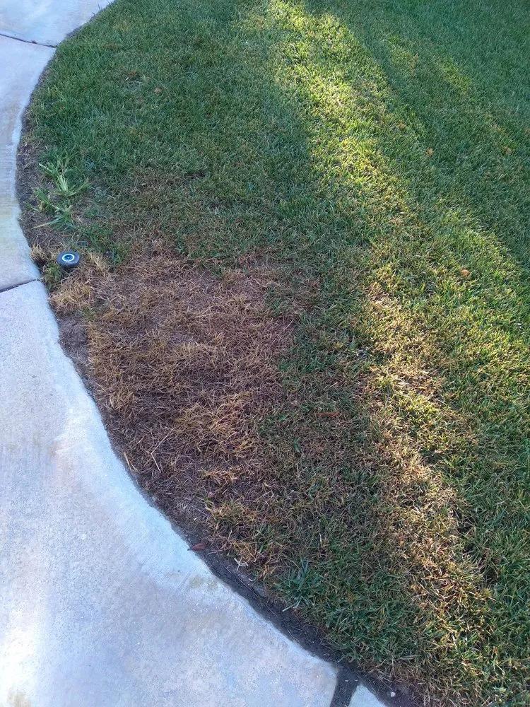 Reliable outdoor landscaping near you in Corona, CA by Sjn Gardening And Landscaping