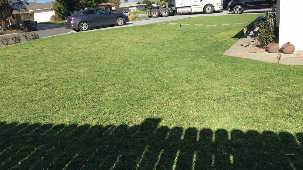 Trusted yard maintenance in Corona, CA by Sjn Gardening And Landscaping