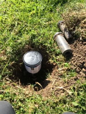 Sjn Gardening And Landscaping Logo