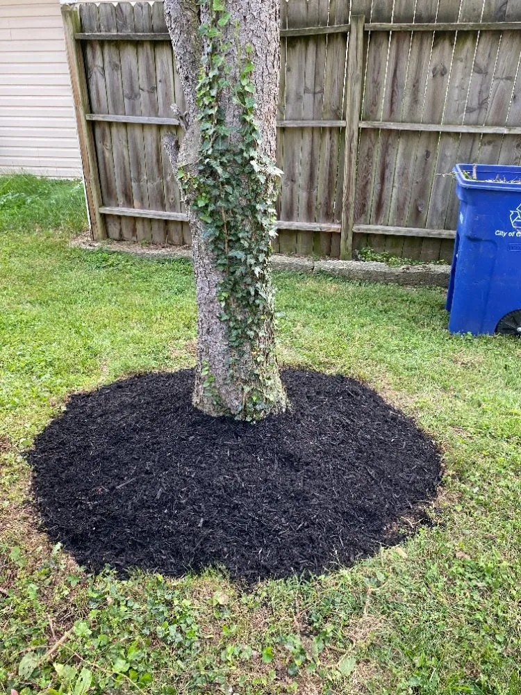 Expert landscape installation in Columbus, OH by SJN,s Landscaping