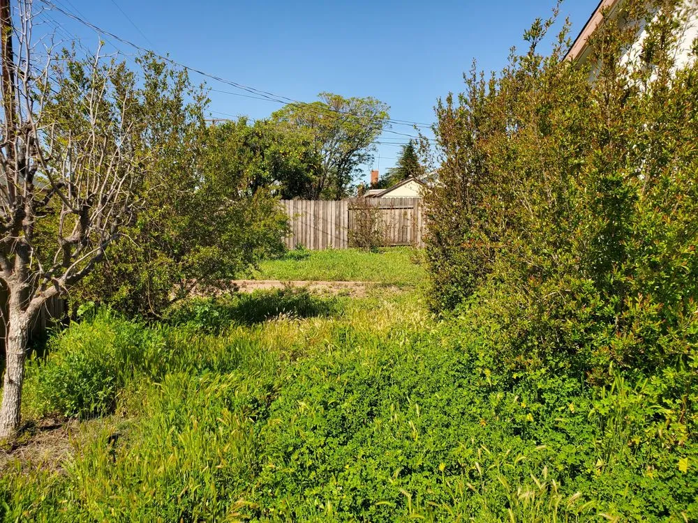 Affordable yard cleanup service experts serving Santa Clarita, CA - SJR Landscape