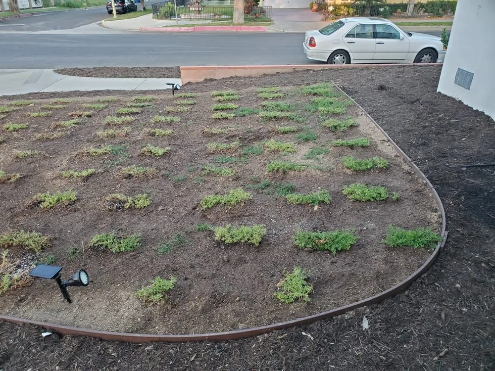 Professional landscape design experts serving Santa Clarita, CA - SJR Landscape