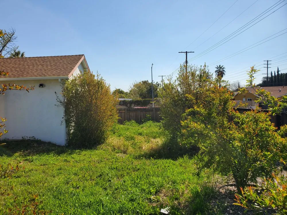 Expert landscape installation in Santa Clarita, CA - SJR Landscape