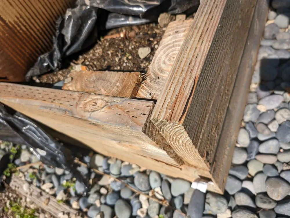 Top-rated landscape installation experts serving Santa Clarita, CA - SJR Landscape