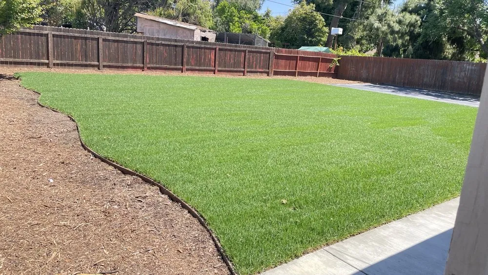 Custom yard cleanup service for year-round maintenance across Canyon Country, CA - SJR Landscaping