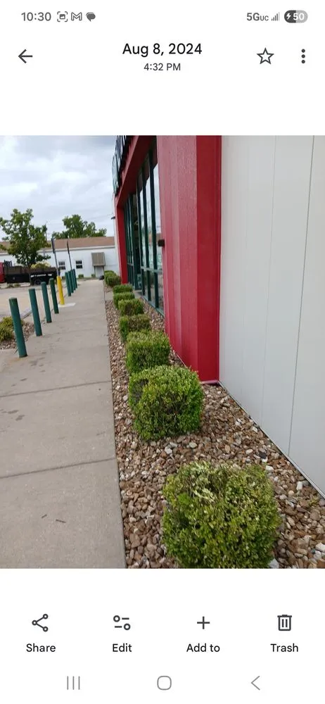 Professional landscaping services in Wright City, MO by Sjs Basicscapes