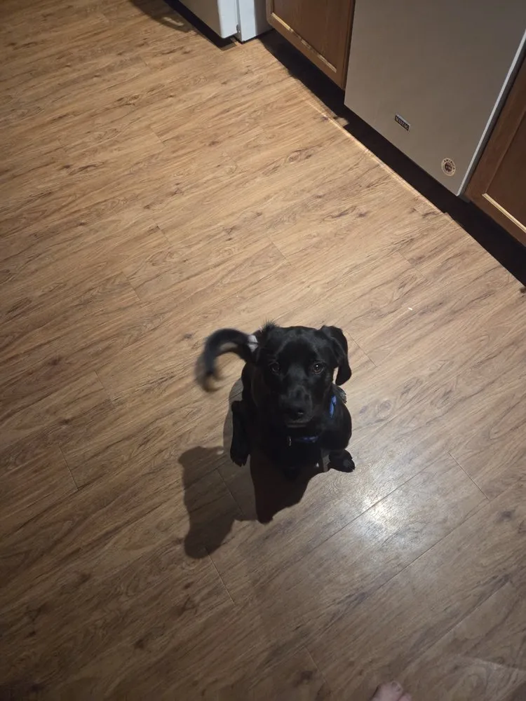 Expert outdoor landscaping in Wright City, MO by Sjs Basicscapes