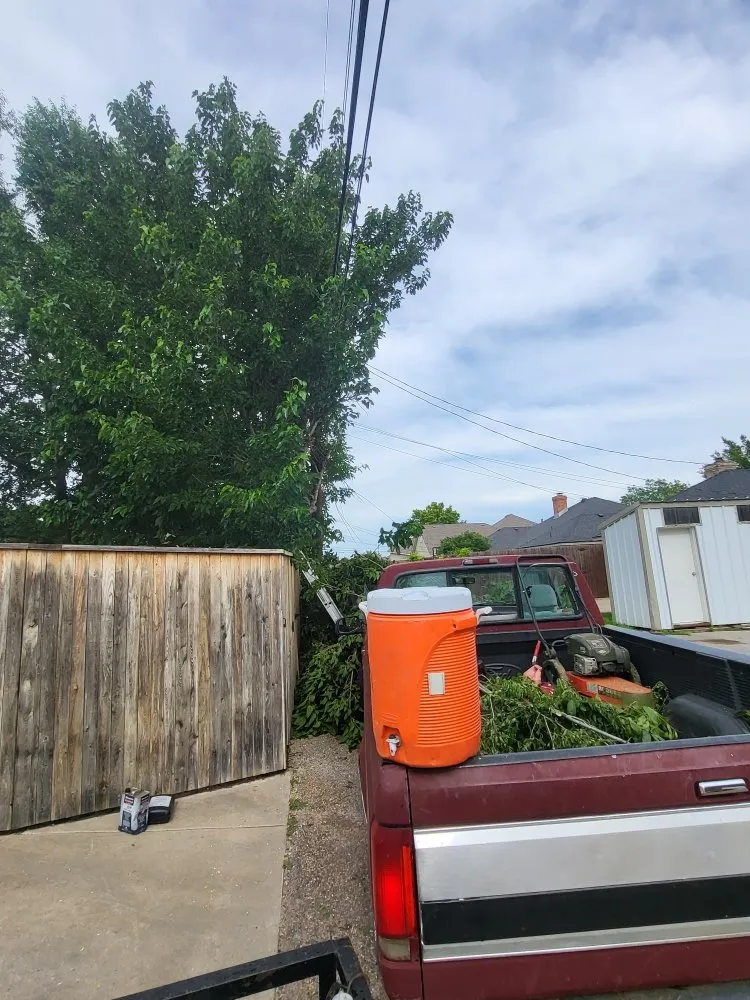 Top-rated residential landscaping for outdoor upgrades in Amarillo, TX by SJ's Lawn Care