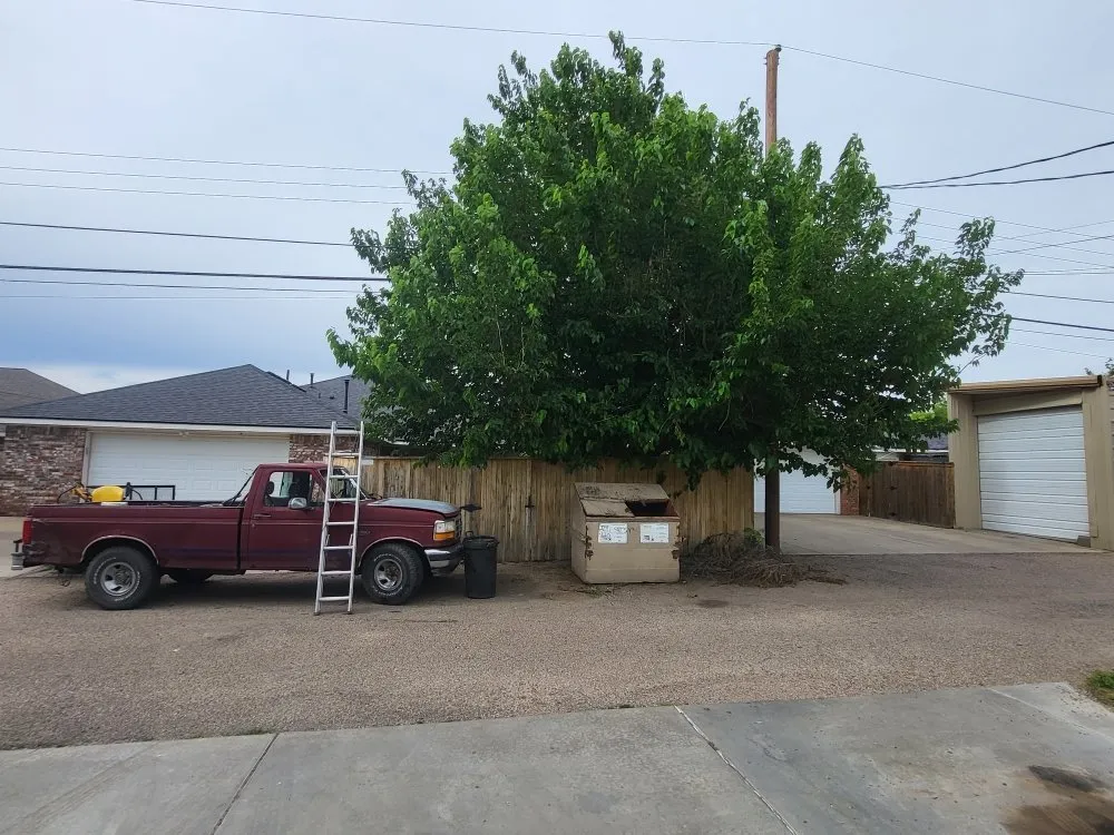 Expert outdoor landscaping in Amarillo, TX - SJ's Lawn Care