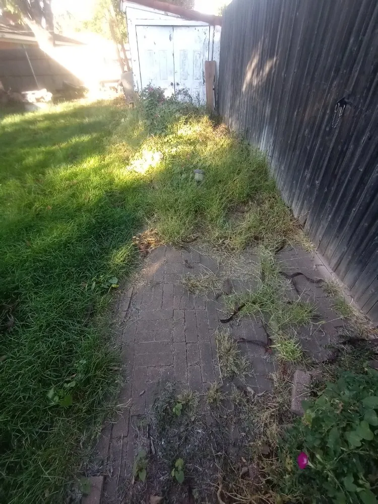 Expert lawn care service experts serving Amarillo, TX - SJ's Lawn Care