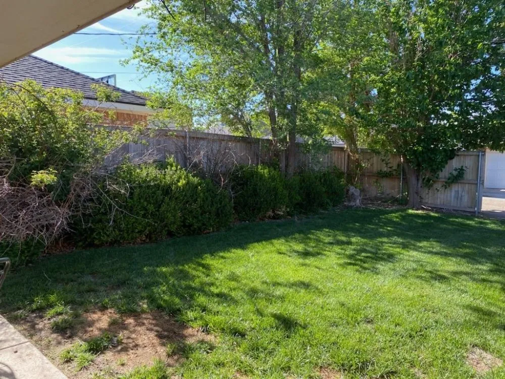 Expert lawn mowing service for year-round maintenance in Amarillo, TX by SJ's Lawn Care