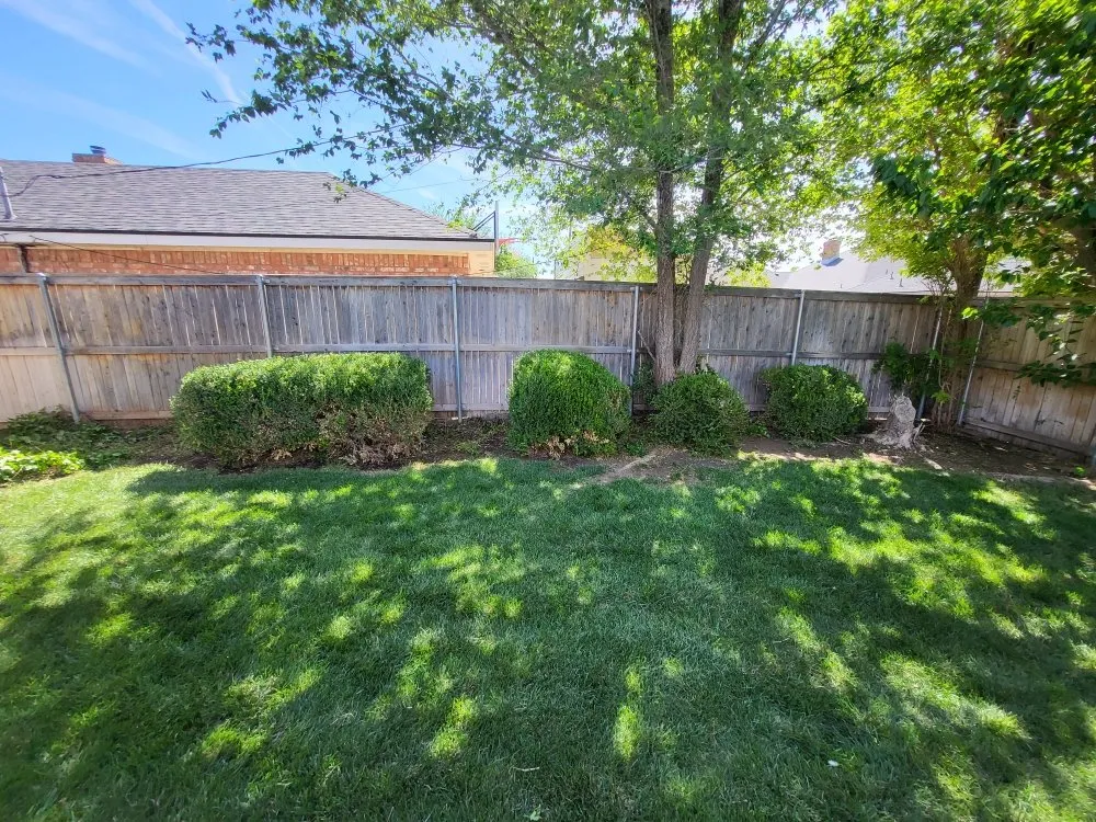 Affordable landscape design for year-round maintenance across Amarillo, TX - SJ's Lawn Care