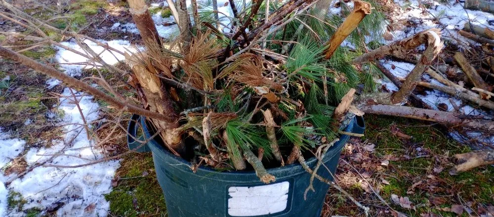 Top-rated outdoor landscaping experts serving Averill Park, NY - SJ's LAWN CARE