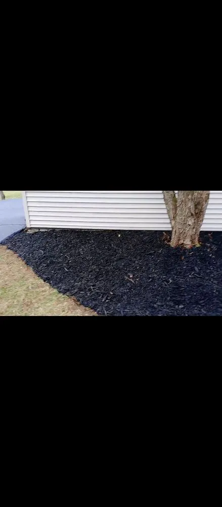 Trusted yard cleanup service in Averill Park, NY by SJ's LAWN CARE