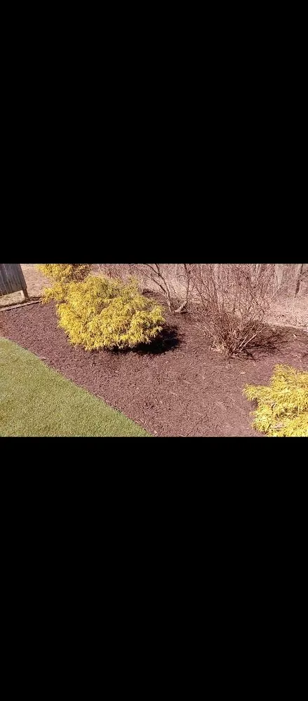 Top-rated yard maintenance experts serving Averill Park, NY - SJ's LAWN CARE