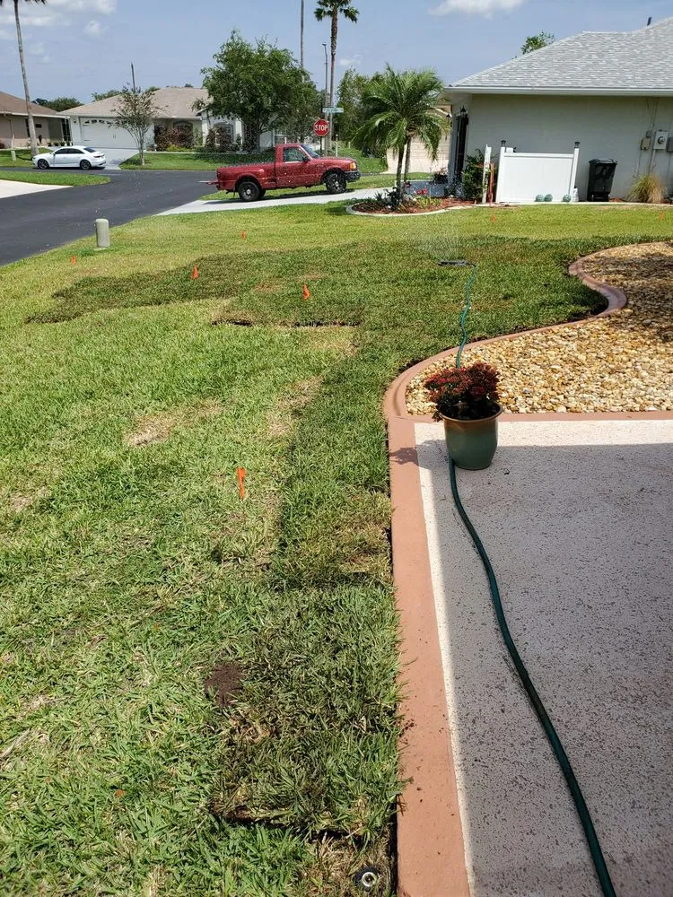 Affordable landscape design in San Antonio, FL by SJ's Tropical Lawn Care