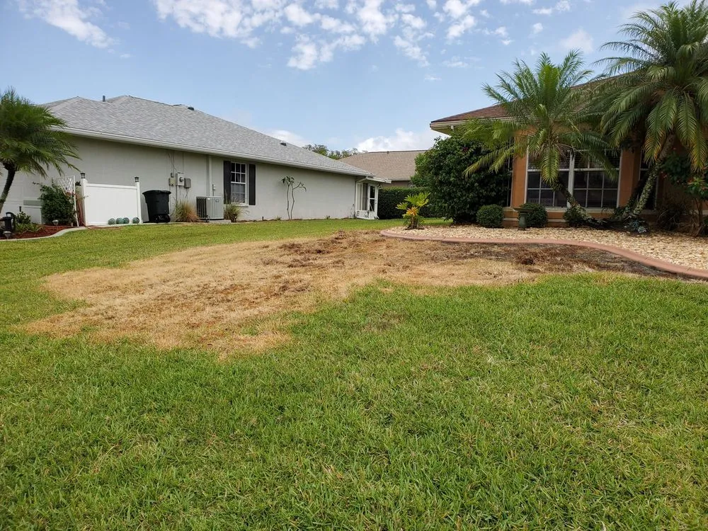 Custom garden landscaping experts serving San Antonio, FL - SJ's Tropical Lawn Care