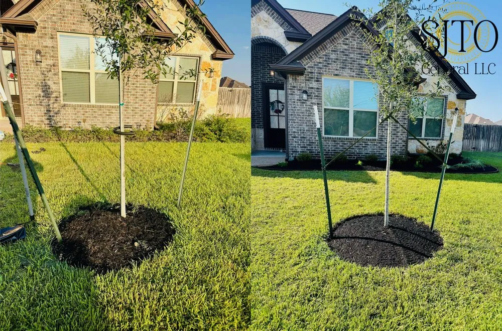 Custom lawn mowing service experts serving Bryan, TX - SJTO General