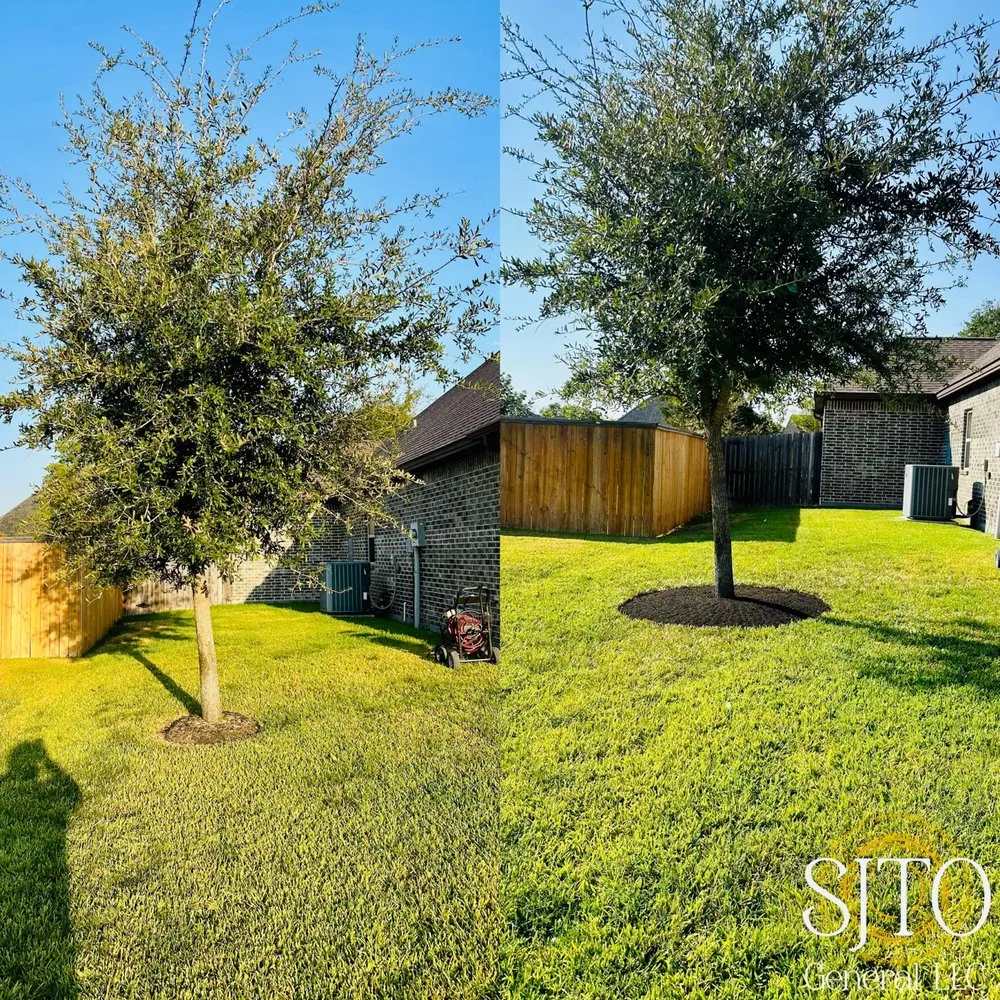 Top-rated landscape installation with custom design across Bryan, TX - SJTO General