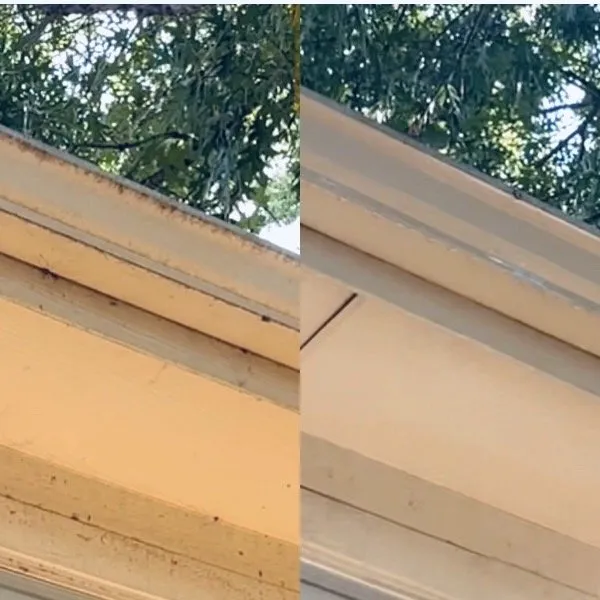 Local lawn care service for residential properties in Corinth, TX by SK Clean N Green