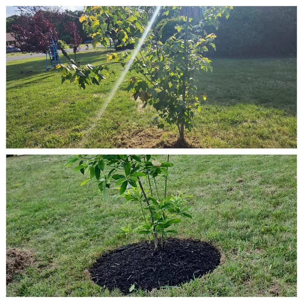 Trusted landscaping services experts serving Herndon, VA - Sk Cleaner And Landscape