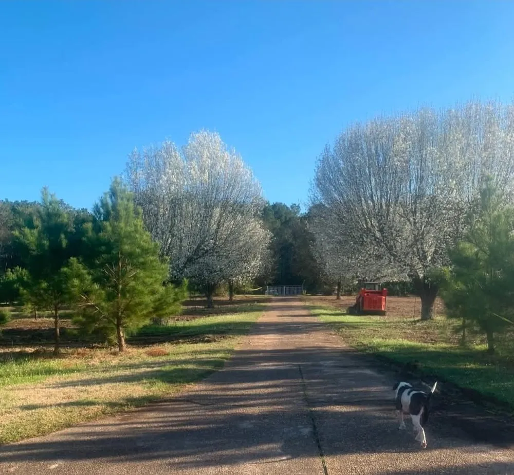 Trusted lawn care service in Springtown, TX - SK Farms Land Management