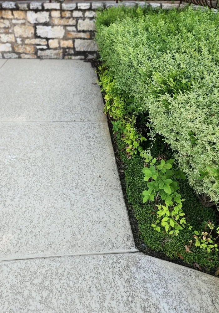 Professional outdoor landscaping experts serving Springtown, TX - SK Farms Land Management