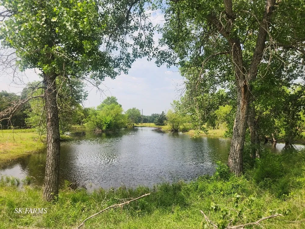 Affordable lawn mowing service for beautiful yards across Springtown, TX - SK Farms Land Management