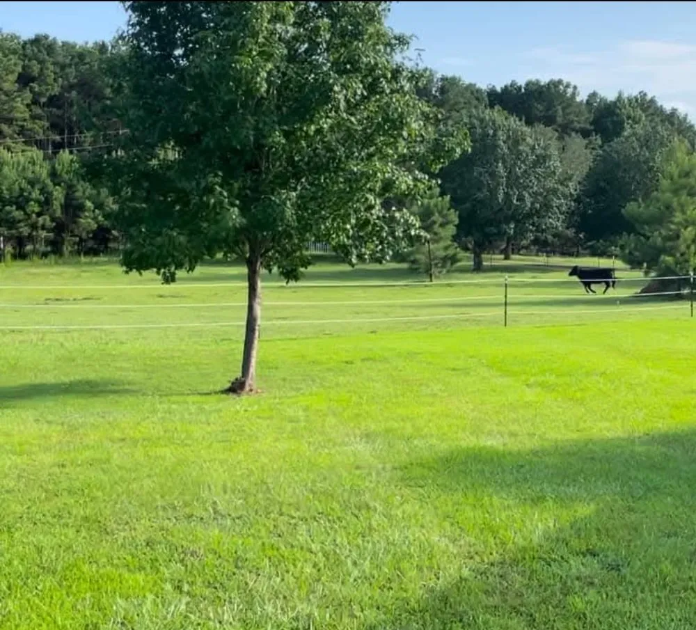 Top-rated yard cleanup service in Springtown, TX - SK Farms Land Management